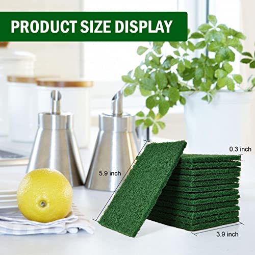 YoleShy 80 PCS Scouring Pad, Dish Scrubber Scouring Pads,4 x 6 inch Green Reusable Household Scrub Pads for Dishes, Kitchen Scrubbers & Metal Grills - color: 80 Pcs