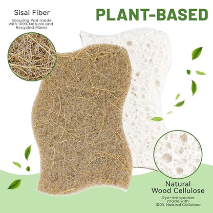 LILAC 12 Pack Natural Cellulose Sponges for Dishes - Non-Scratch Kitchen Scrub Sponges - 100% Biodegradable & Eco-Friendly Cleaning Sponges for Non-Stick Cookware, Bathroom & Household - color: Coconut Fiber, White