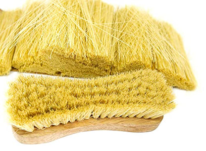 All-Natural Wooden Scrub Brush Set – 12 Pack | Tampico Bristle Scrub Brushes for Cleaning | Soft Floor Scrubber for Tile, Grout, Bathroom, Kitchen & Delicate Surfaces | Commercial Cleaning Supply