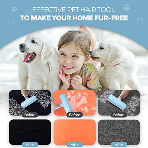DELOMO Pet Hair Removal Tool, Pet Hair Remover - Lint Roller for Pet Hair - Cat and Dog Hair Remover for Couch, Furniture, Carpet, Car Seat, Reusable Lint Roller with Fur Bin, Pet Owner Essential - color: B: Blue（exclusive Color）