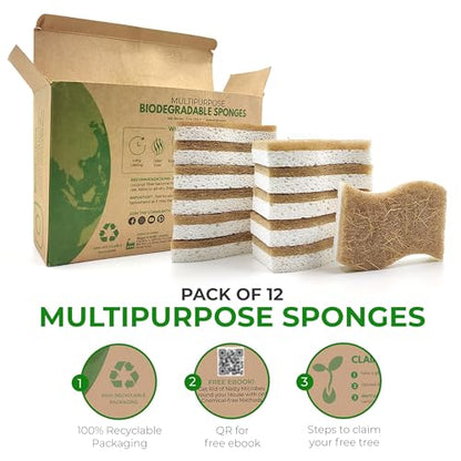 AIRNEX Natural Kitchen Sponges (12 Pack) - Biodegradable Cellulose & Coconut Scrubber Dish Sponges for Kitchen - Eco-Friendly, Non Scratch, Compostable, Non Toxic S-Shaped Natural Sponges for Dishes - size: 12
