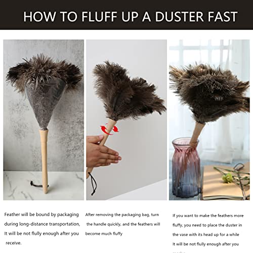 THARAHT 2PCS Ostrich Feather Duster 16 Inch Fluffy Natural with Wood Handle Reusable Washable for Cleaning Keyboard,Home,Car,Office Ostrich Feather Duster - color: Model (A)-2pcs, size: 16inch