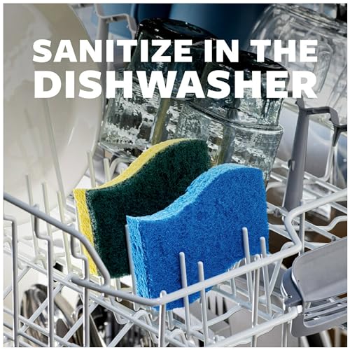 Scotch-Brite Heavy Duty Scrub Sponges, for Washing Dishes and Cleaning Kitchen, 12 Scrub Sponges (Pack of 2) - size: 12 Scrub Sponges (Pack of 2)
