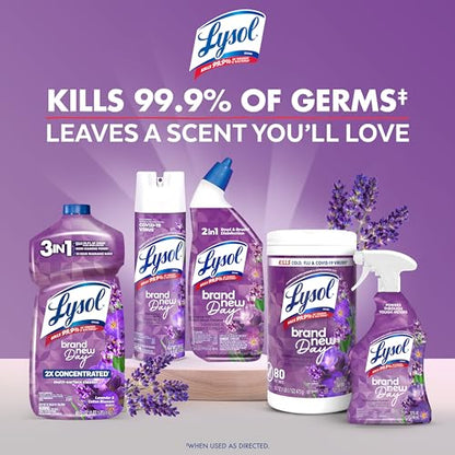 LYSOL Disinfecting Wipes, All Purpose Cleaner, Multi-Surface Antibacterial Cleaning Wipes, Household Cleaning Supplies, Dorm Essentials, Lavender + Mango Scents, 80 ct. (4 Pack) - size: 320 Count (Pack of 1), style: Mango + Lavender