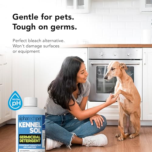 KennelSol Dog Crate Cleaner & Disinfectant for Kennels, Cages, Floors, Litter Boxes & Hard Surfaces | EPA-Registered, Kills Bacteria & Viruses, Parvo Disinfectant | 16 Fl Oz - size: 16 Fl Oz (Pack of 1)