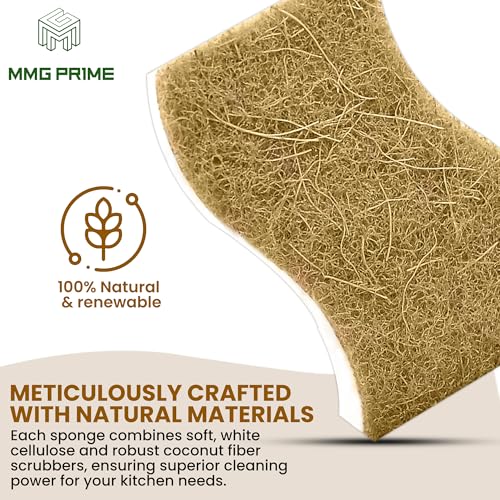 Natural Kitchen Sponge –12-Pack Biodegradable Sponges for Dishes –Compostable Dish Washing Scrubbers – Eco Friendly Non-Scratch Cellulose & Coconut Husk Scrubber Sponges for Cleaning - size: Pack of 12