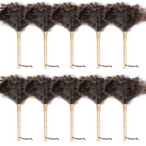 16inch Ostrich Feather Duster Fluffy Natural Genuine Ostrich Feathers with Wooden Handle and Eco-Friendly Reusable Handheld Feather Duster for Cleaning Supplies(10PCS) - color: Model-a-brown-10 Pieces