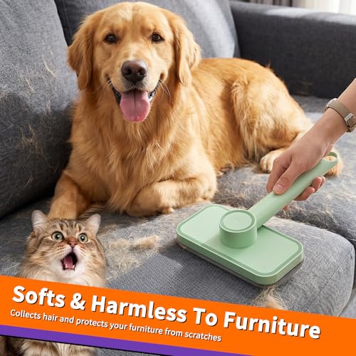 Pet Hair Remover – Reusable Lint Remover for Dog and Cat Hair, Pet Carpet Cleaner Electrostatic Lint Brush Magic Pet Hair Removal Tool for Couch, Clothes, Carpet,Rugs, Car, Bedding, Fabric Furniture - color: Color-6
