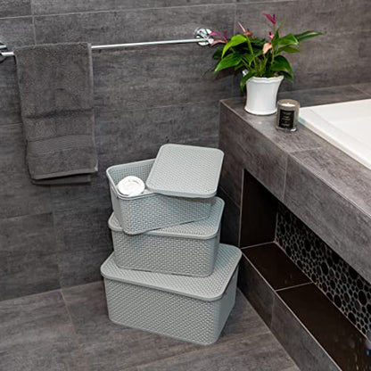 Branq - Home essential Lid Basket in Rattan Design Size M 10 L BPA- Plastic PP Light Grey 28.8 x 19.7 x 16.2 cm 2 Pieces M - color: Lightgrey, size: 10 l