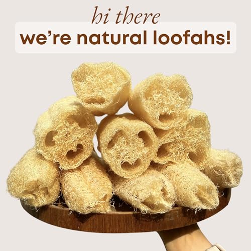 Natural Loofah Sponge (Pack 4) - Exfoliating Body for Bath or Dish Scrubber for Kitchen - 100% Biodegradable Compostable Zero Waste Dishwashing Scouring Pad - size: Pack 4