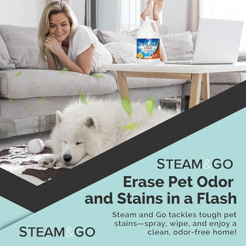 Steam & Go Multi-Purpose Cleaner Spray Refill with Oxy Power for Multi-Surfaces - Removes Stains, Eliminates Odors, & Degreases - Orange Scent, 1 gal - size: 128 Fl Oz (Pack of 1)