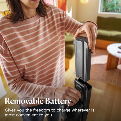 Bissell PowerClean FurGuard 280W Self-Standing Cordless Vacuum w/Self-Cleaning Brush Roll, Strong Suction, Removeable Battery, Wall Mount, Upholstery Tool & Bright Headlights - style: PowerClean FurGuard