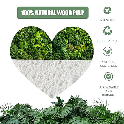 100-Count Compressed Facial Sponges for Estheticians Heart Shape Natural Cellulose Sponge Professional Cosmetic Spa Sponges for Face Cleansing, Massage, Pore Exfoliating, Mask, Makeup Removal, White - color: 100- Pack White