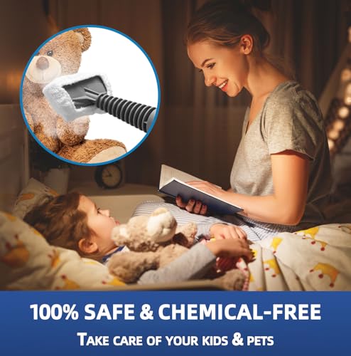 Handheld Steam Cleaner, Pressurized Multi-Surface Steam Shot with 13 Accessories, Safety Lock, Steamer for Cleaning Floor, Upholstery, Grout, Windows, Couch and Car, Grey - color: Grey