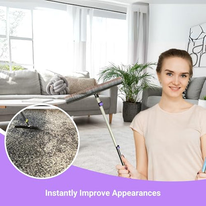 Room Groom PET Carpet Rake Groomer with Telescoping 54 " Adjustable Handle, with Lint Remover Brush Tool, Carpet Brush for Pet Hair and Refreshing Carpets, (Black/Purple) - style: PET + Lint Tool