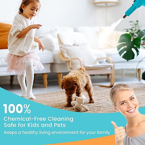 Goplus Handheld Steam Cleaner, 1400W Pressurized Steam Cleaner w/Continuous Steam w/Unlimited Use Time, 13.5 OZ Water Tank, Child Lock & 14-Piece Accessory Kit, Portable Chemical-Free Steamer Mop - color: Blue