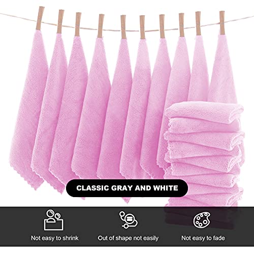 MOONQUEEN Microfiber Facial Cloths Fast Drying Washcloth 12 Pack - Premium Soft Makeup Remover Cloths - Frozen Berry - color: Frozen Berry, size: 12x12 Inch (Pack of 12)