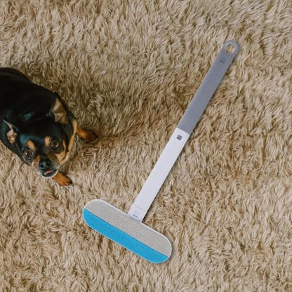 Carpet Rake for Pet Hair Removal, Cleaner Brush Reusable Pet Hair Removal Tool for Dog and Cat on Furniture Carpet and Clothing Portable Abs Grooming Brush