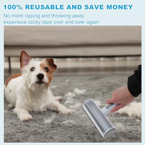 Pet Hair Removal Tool, Lint Roller for Pet Hair, Carpet Rake, Pet Hair Remover Roller for Furniture Couch Bed Car Seat, Light Gray