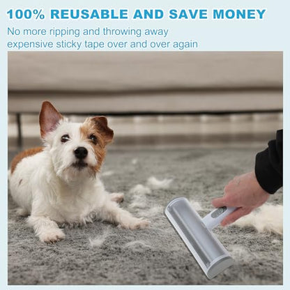 Pet Hair Removal Tool, Lint Roller for Pet Hair, Carpet Rake, Pet Hair Remover Roller for Furniture Couch Bed Car Seat, Light Gray