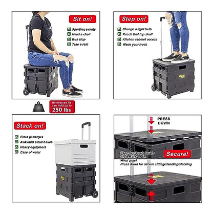 dbest Products Quik Cart Sport Collapsible Rolling Crate on Wheels for Teachers Tote Basket 80 lbs Capacity, Made from Heavy Duty Plastic, Black, Compact - color: Black, style: Sport