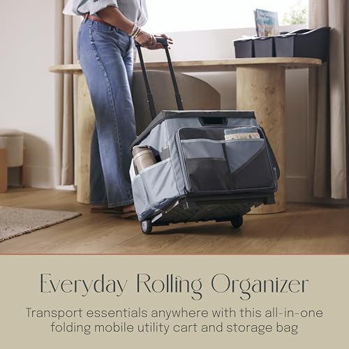 Mobile Folding Utility Cart with Canvas Storage Organizer Bag, Rolling Cart, Black/Grey - color: Black/Grey