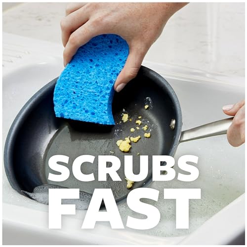 Scotch-Brite Scrub Dots Non-Scratch Scrub Sponges, Sponges for Cleaning Kitchen, Bathroom, and Household, Non-Scratch Sponges Safe for Non-Stick Cookware, 24 Scrubbing Sponges - size: 24 Count (Pack of 1)