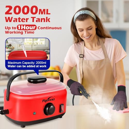 Steam Cleaner,2500W High Temperature High Pressure Steam Cleaner with 3 Brush Heads, Portable Steam Cleaners with 1.5L Tank For Car Detailing Kitchen Bathroom Floors(White) - color: White Black