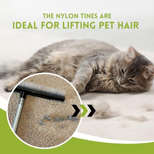 Small Room Groom Carpet Rake, 11" Handle, Portable Carpet Brush for Pet Hair, High Pile Rugs, Stairs, Furniture & Artificial Turf, Compact Groomer Tool - style: Modern