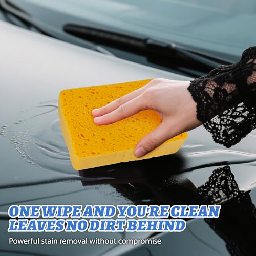 6 Pack Pop-Up Cellulose Sponges | Large Thick & Tear-Resistant | Biodegradable Compressed Sponges for Kitchen, Dishes, Car | Super Absorbent & Long-Lasting