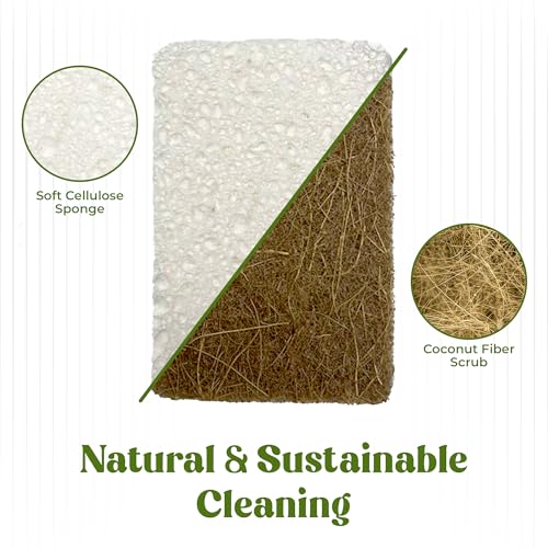 12 Pack Natural Kitchen Sponges - Biodegradable, Compostable, Sustainable Wood Cellulose & Coconut Fiber Sponge for Dishes, Quick Drying & Non Scratch Plant Based Eco Friendly Scrubber for Dishwashing