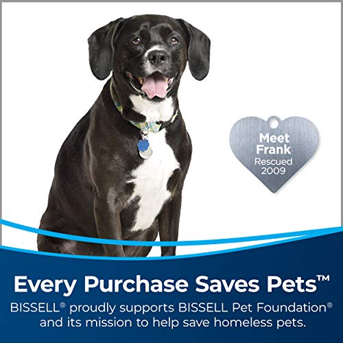 BISSELL PowerFresh Pet Steam Mop 19404 Hard Floor Steamer with Odor‑Eliminating Scent Discs, Easy Scrubber for Tough Messes, 2 Steam Levels, Sanitizes - style: PowerFresh Pet Steam Mop