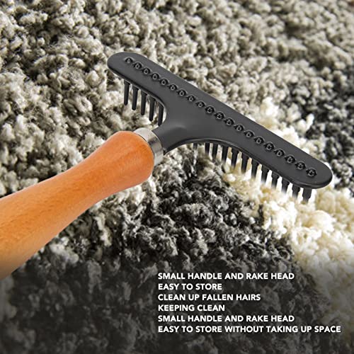 Handheld Carpet Rake,Cleaning Grooming Stainless Steel Hair Groomer Rug Rake for Beauty Salon