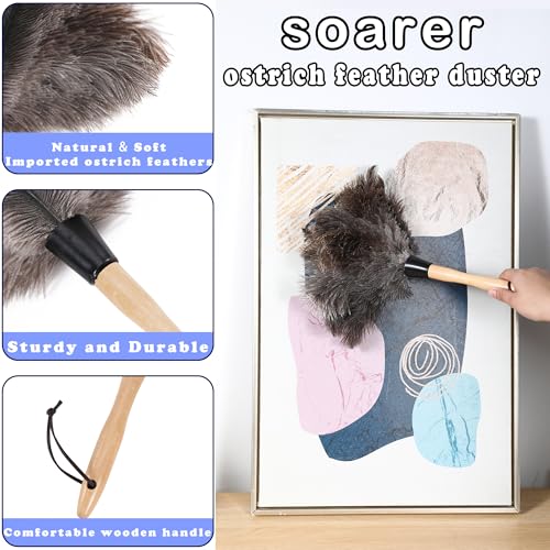 Soarer Ostrich Feather Duster - 14 inches Fluffy Handle Reusable Feather Duster 2pcs Cleaning Brush for Cleaning Supplies,Ceiling Fan, Crafts, Blinds, Furniture - color: 14inch Kit
