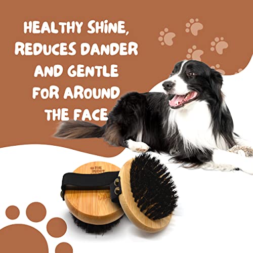 The Buddy System Pet Close Brush, Soft Touch Oval Palm Brush - Bamboo Massage Handheld with Soft Boar Bristles and Elastic Band for Dogs and Cats - color: Boar Bristle
