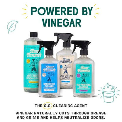 Aunt Fannie's All Purpose Household Cleaner, Multi-surface Spray, Powered by Vinegar for Kitchen, Bath, Windows and Countertops, Lavender Scent (Pack of 3) - size: 16.9 Fl Oz (Pack of 3)