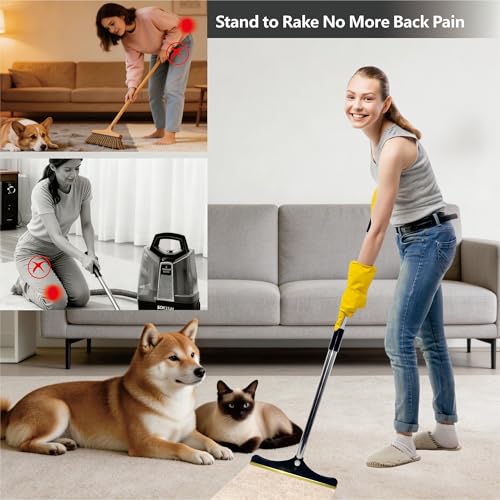Premium Stainless Steel Pet Hair Removal Carpet Rake | Reusable Adjustable Pet Fur De-Shedding Tool for Carpets, Rugs, Upholstery & Auto Mats | Long Extendable Handle, Heavy-Duty Construction (Black) - color: Black