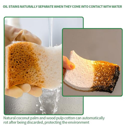 Sponges Kitchen Natural Dish Sponge Plant-Based Biodegradable Compostable Cellulose with Coconut Scrubber Sponge Non Scratch Eco Friendly Kitchen sponges for Kitchen Dishes（Pack of 16） - size: Pack of 16