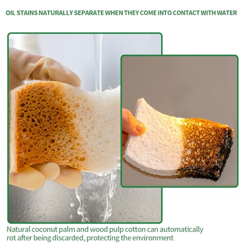 Sponges Kitchen Natural Dish Sponge Plant-Based Biodegradable Compostable Cellulose with Coconut Scrubber Sponge Non Scratch Eco Friendly Kitchen sponges for Kitchen Dishes（Pack of 24） - size: Pack of 24