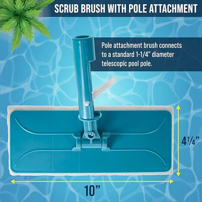 U.S. Pool Supply Hand-Held and Pool Pole Attachment Scrub Brushes - Surface Scrubbing Scouring Sponge Pads - Clean Pool Tile Grout Walls, Vinyl Liners, Spas, Remove Stains, Kitchen Bathroom Tub Shower - size: 4x11