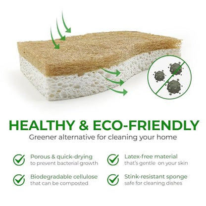 AIRNEX Natural Kitchen Sponges (12 Pack) - Biodegradable Cellulose & Coconut Scrubber Dish Sponges for Kitchen - Eco-Friendly, Non Scratch, Compostable, Non Toxic S-Shaped Natural Sponges for Dishes - size: 12