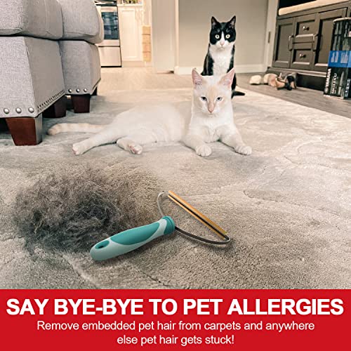 Dog Cat Hair Remover for Deep Cleaning, Lint Cleaner Pro, Pet Fur Removal Tool, Portable Carpet Scraper Rake, Fuzz Hairball Shaver Brush for Carpet, Car Mat, Couch, Pet Bed, Furniture, Rug