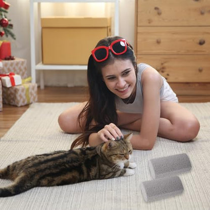 2 Pcs Pet Hair Remover Pumice Dog Cat Hair Stone Quickly Removal Cleaning Pet Fur Stone Reusable Upholstery Cleaner Rock Tool for Car Interior Couch Bedding Carpet Couch Furniture