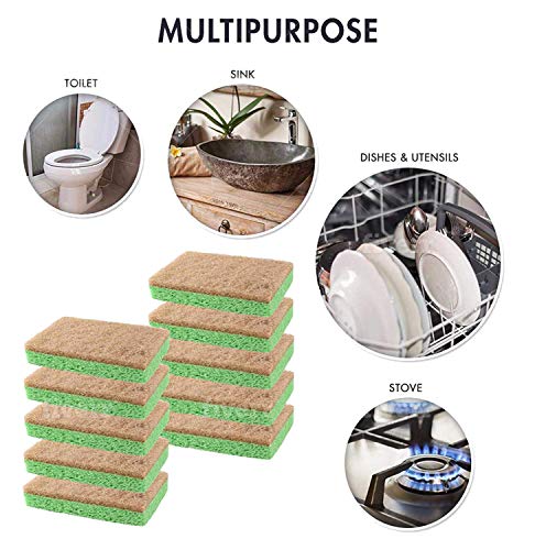 SCRUBIT 48 Pack Natural Sponges - Biodegradable Compostable Cellulose and Coconut Natural Sponges for Dishes, Eco Friendly Non Toxic Kitchen Sponge - size: 24 Count (Pack of 2)
