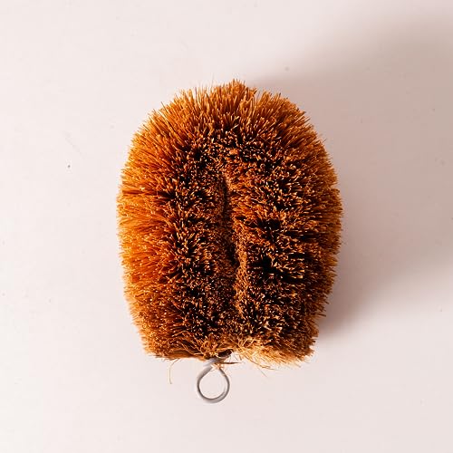 Pack of 3 Tawashi Vegetable Scrub Brush,100% Natural Coconut Coir Fiber VegetableBrush, Ideal for Fruit Scrub, Dish Brush for Kitchen Cleaning Needs, Kamenoko Japanese Design