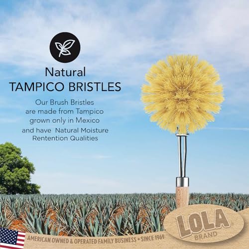 LOLA -The Original - Tampico Vegetable & Dish Brush, 6 Pack, Sustainable Wood Ergonomic Handle w/Tampico Fiber Bristles - color: Small Vegetable & Dish Cleaning Brush, size: Small