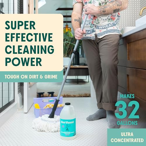 Aunt Fannie's Ultra Concentrated Floor Cleaner Vinegar Wash, Multi-Surface Solution For Mopping, Value Size, Lavender Scent, 64 oz - size: 64 Fl Oz (Pack of 1)