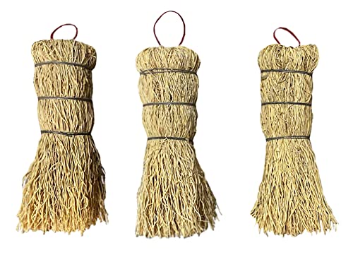 Coladera Set of 3 Natural Fiber Dish Brush Cleaners Mexican Escobetas Molcajete with Hangers Sustainable Kitchen Cleaning Scrubber Brushes for Pots Sinks and Pans Cepillo Limpia Trastes Yellow