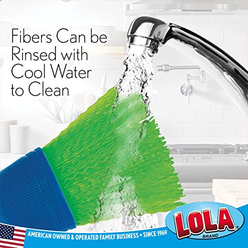 LOLA Whisk Broom, Hand Brush, Durable Bristles, Whisks Away Dirt & Debris, Compact, Hang Hole for Easy Storage, Indoor/Outdoor, 1 Pack - size: 1 Count, style: Classic