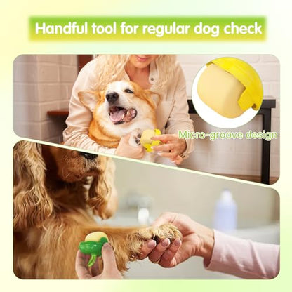 2PCS Portable Mini Lint Rollers, ClearGreen&Red | Reusable Washable, For Clothes Car Seats Furniture Carpets Pet Hair, Travel Portable, Fits in Wallet Bag, Pet Hair Remover - color: Cleargreen+clearred